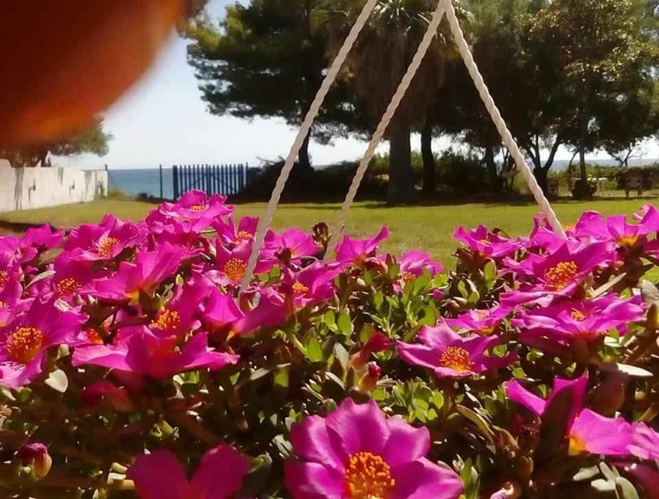 Seafront Villa Joan Nea Skioni Exterior photo